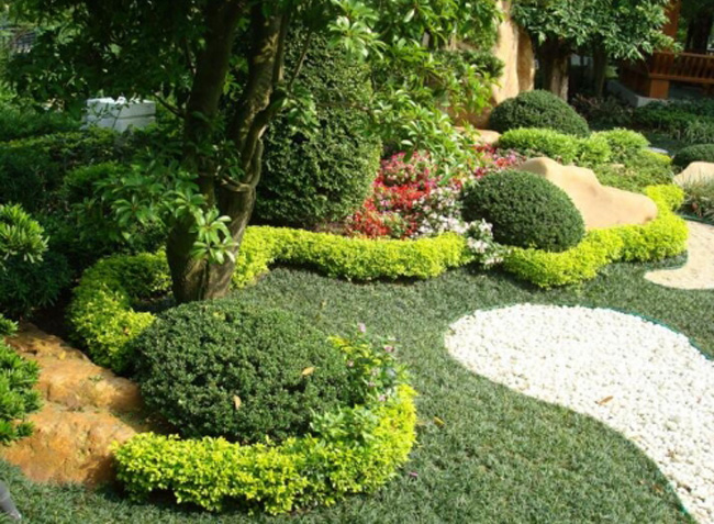 别墅庭院景观设计和绿化种植说明